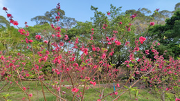 国内首档钓鱼系列纪录片《钓鱼的二十四节气》面向大众发布